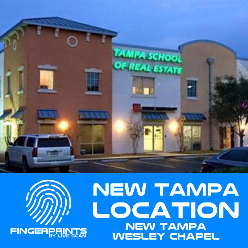 New Tampa